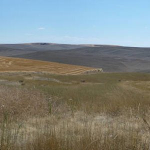 Panorama_76