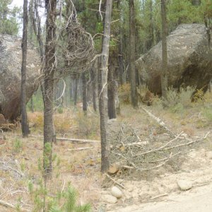 Panorama_120