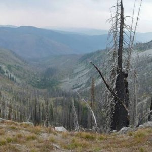 Panorama_233