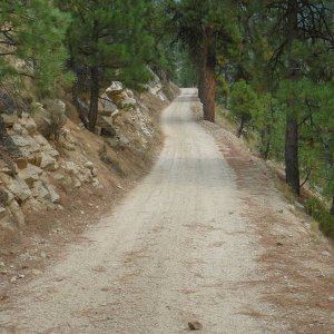 P11407401