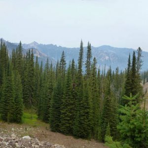 Panorama_38