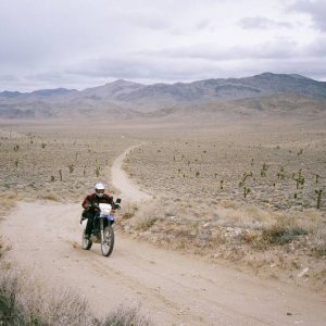 Saline Valley Road