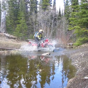 May_13_2006_Bonapart_loop_043