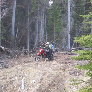 May_13_2006_Bonapart_loop_042