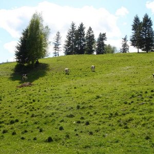 DSC00150