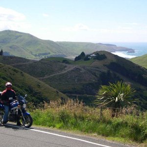 Otego Peninsula NZ