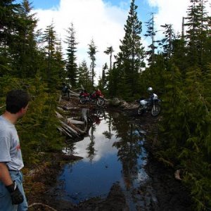 Water hole 1