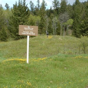 DSCF0008