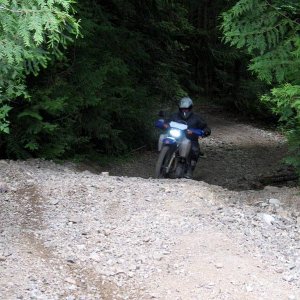 IMG_00041