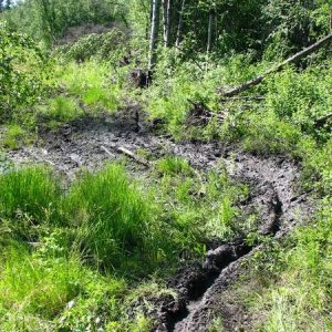 One of the mud holes
