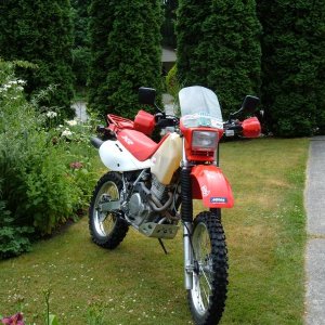 For Sale/ 07/04/06