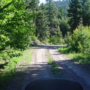 Murray Creek FSR