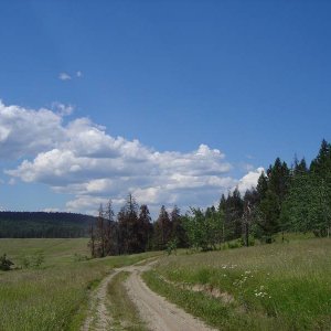 McLean Lake 1