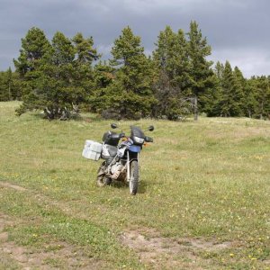 Junction at top of Mud Lakes