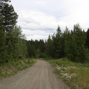 along Yalakom FS road