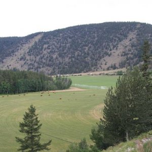 farms along Canoe Creek road