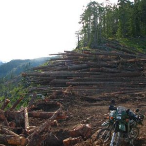 The road is under that pile!