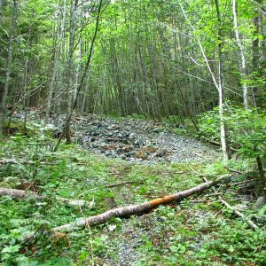 Old washed out road