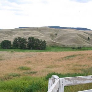 Gang Ranch - looking south