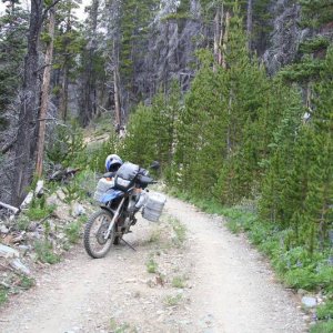 road heading up Perkins Peak