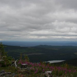 view from about 5600 feet