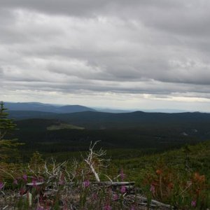 view from 5600 feet