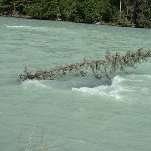 2006_0714dz06chilcotin0044