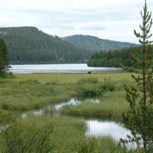 2006_0714dz06chilcotin0078