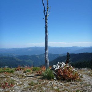 P1150076