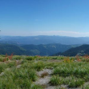 Panorama_242