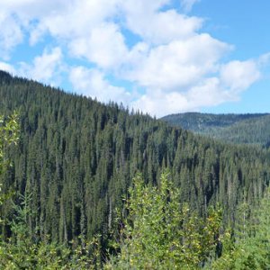 Panorama_291