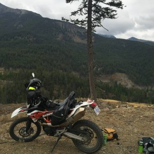 image15