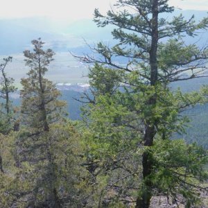 Panorama_57
