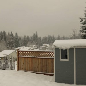 IMG_7775