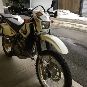 DR650_White_-_11