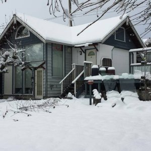Feb 6 Snow