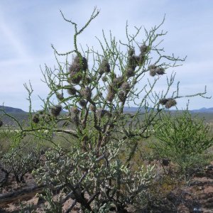 P1150586