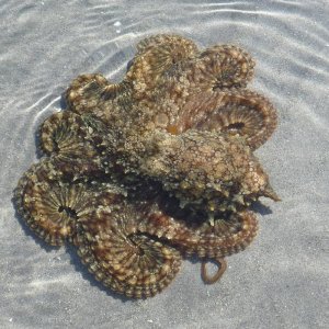 P1150706