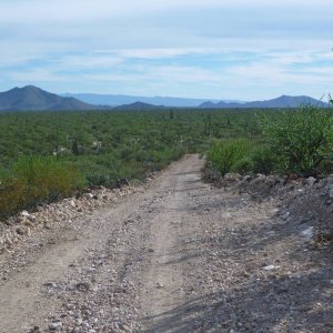 P1150595