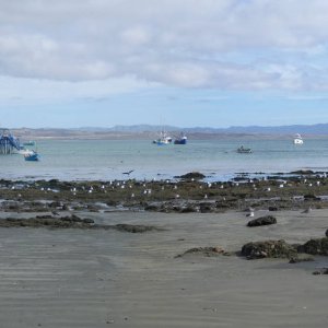 Panorama_154
