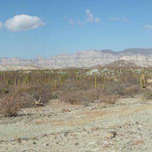 Panorama_481