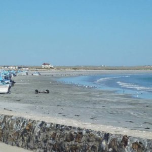 P1160034