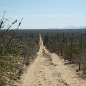 P1160461