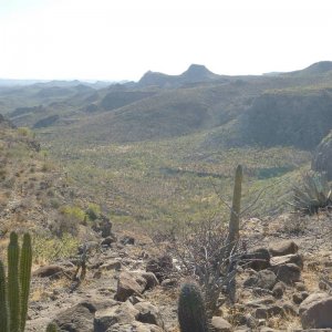 P1160562