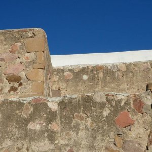 P1160617