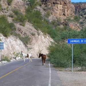 P1160691