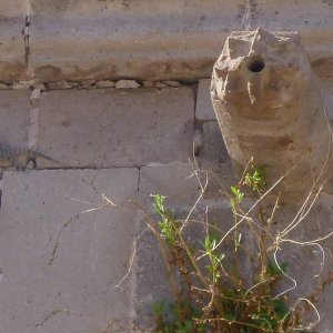 P1160876