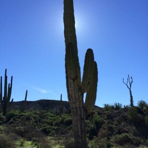 Baja_2017_1366