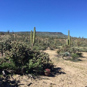 Baja_2017_1379
