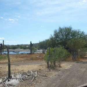 P1160068